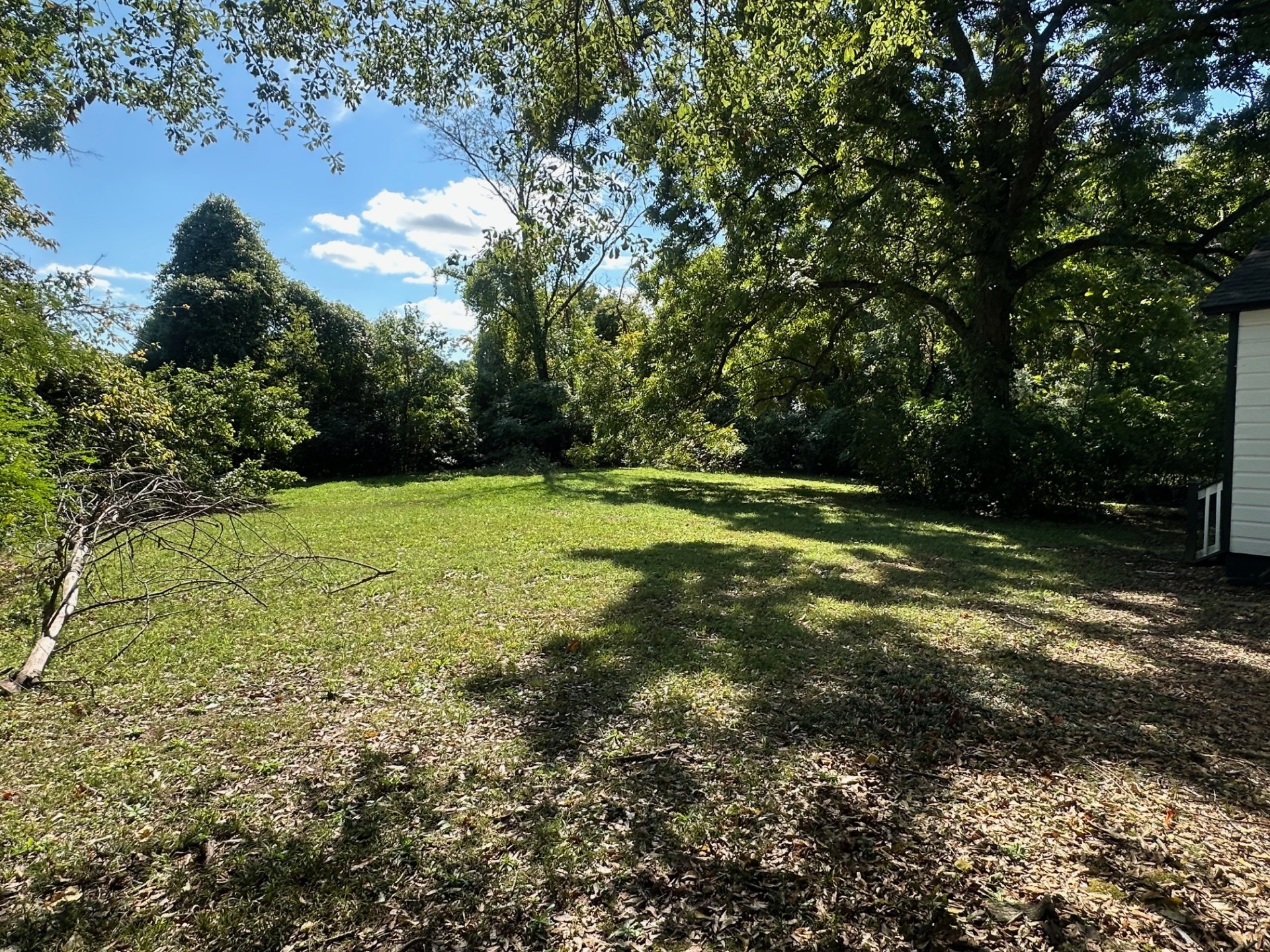 Spacious backyard with mature trees, grassy area, and open space for recreation