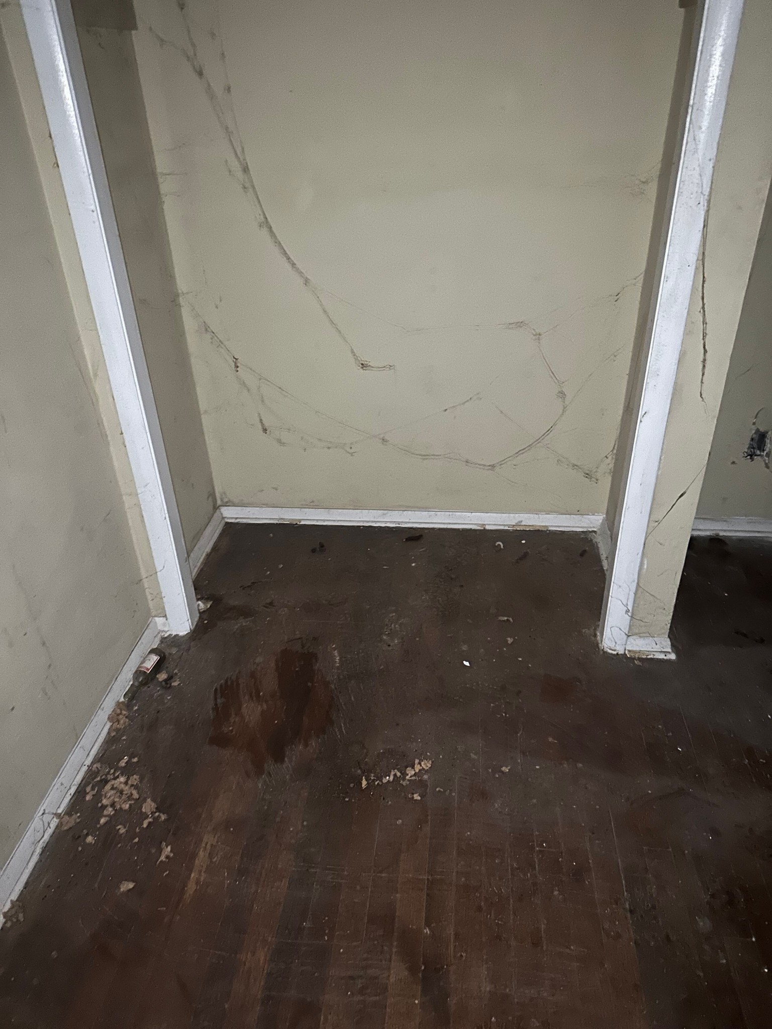 Severe fire damage in hallway with insulation and debris scattered