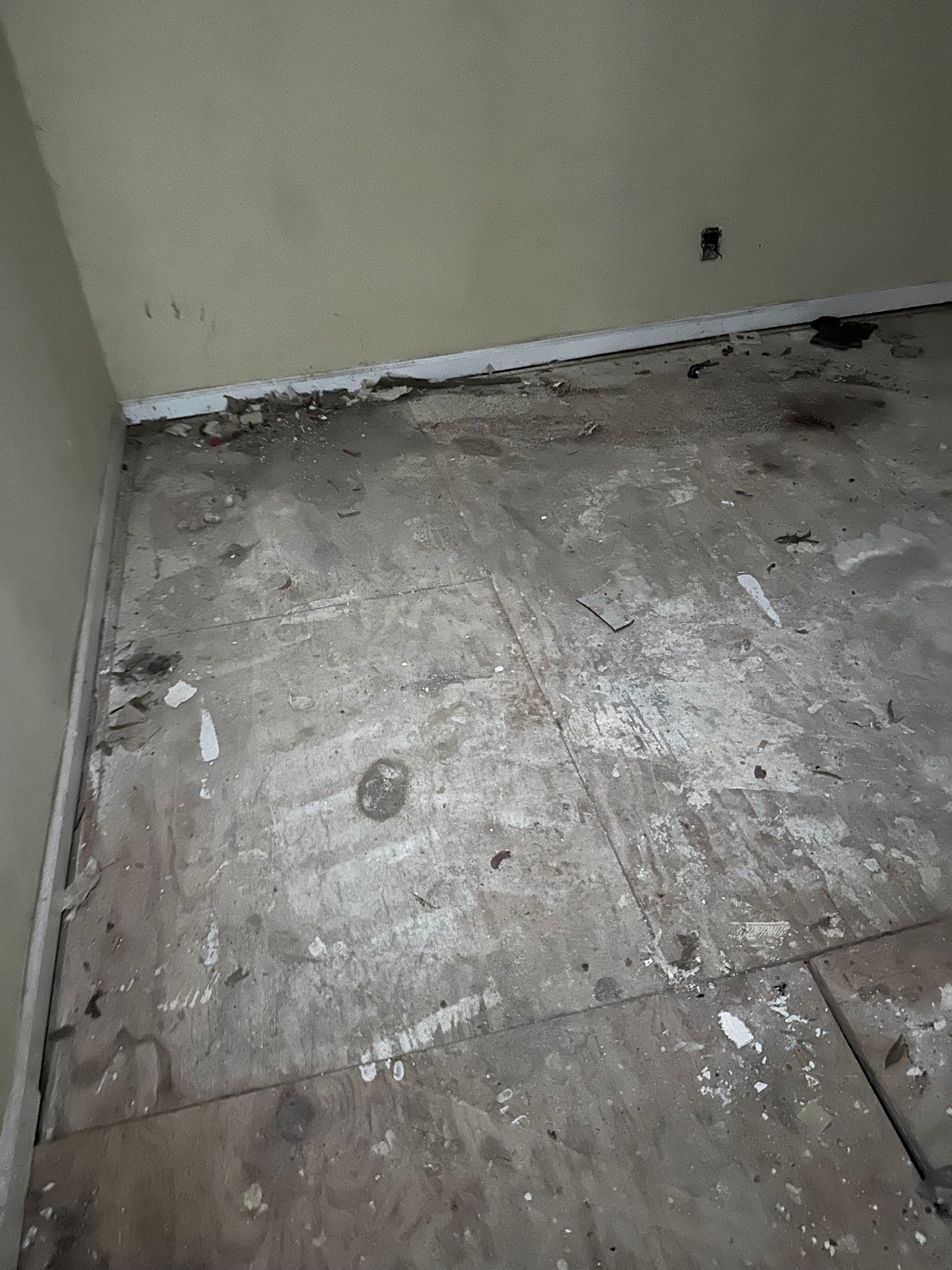 Overgrown yard along left side of home with view of back addition