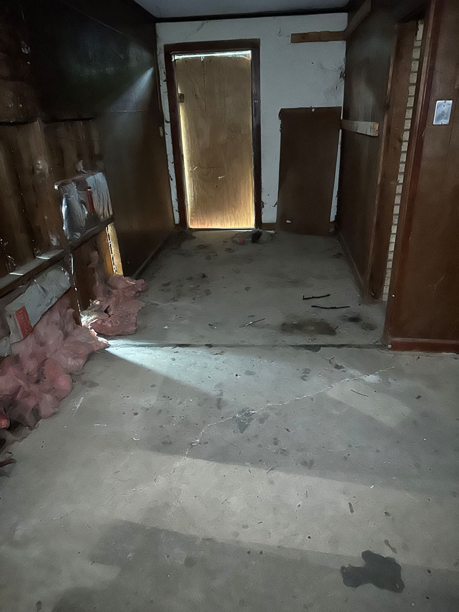 Side exterior cleared pathway after partial yard cleanup