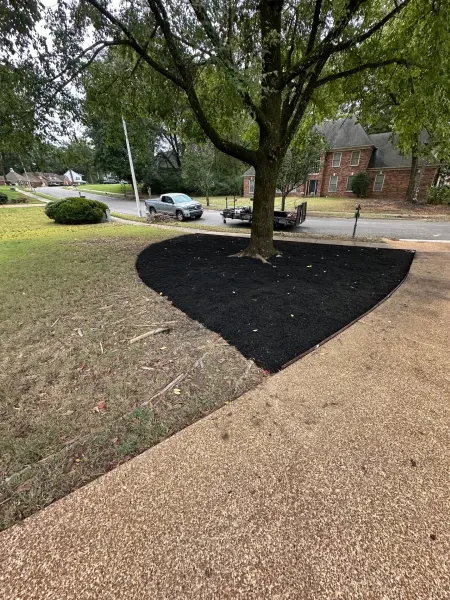 766 Crestover Collierville TN virtual image 9